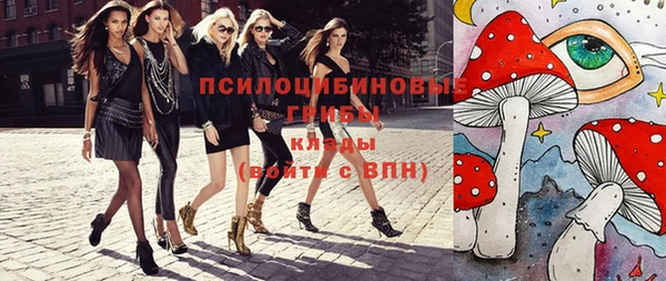 МДПВ Алзамай
