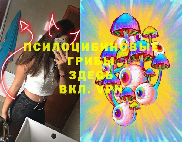 МДПВ Алзамай