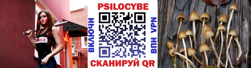 Псилоцибиновые грибы мухоморы  Чайковский 